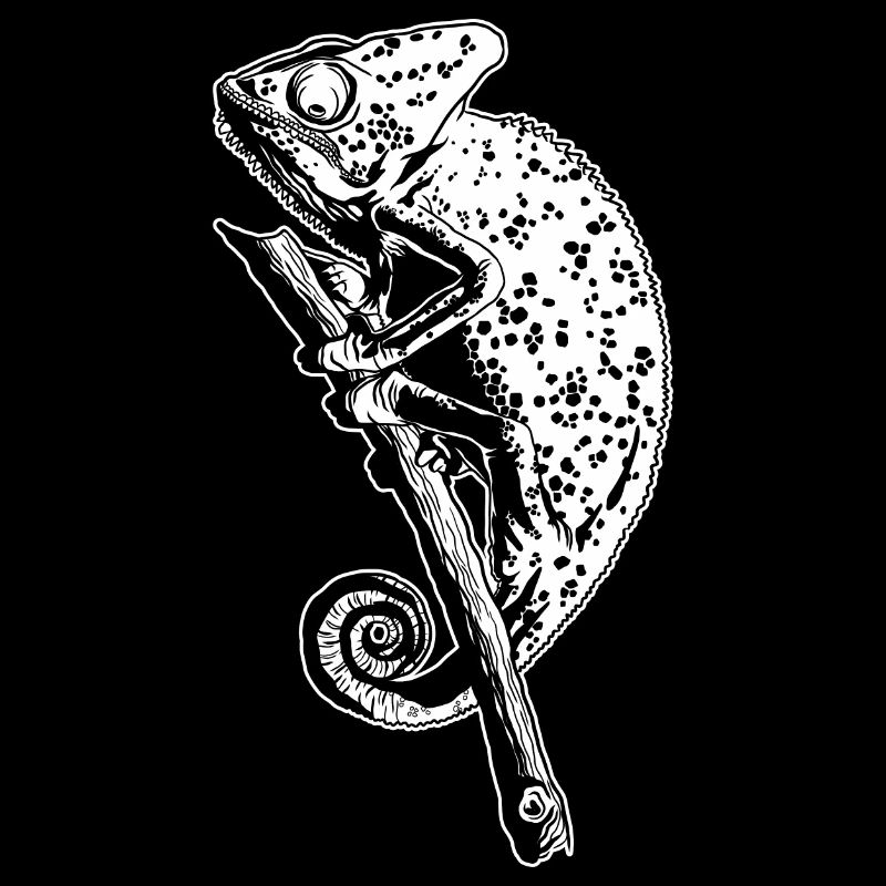 Chamäleon Eidechse Grafik Reptil Chamäleon Liebhaber
