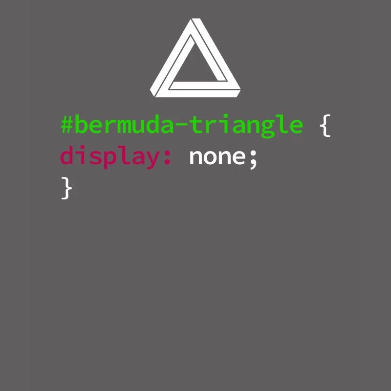 Code de codage des développeurs de programmeurs Web et CSS