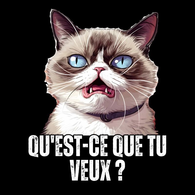 Humour chat qu'est ce que tu veux ? blague meme