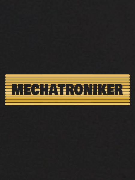 Mechatronics Engineer