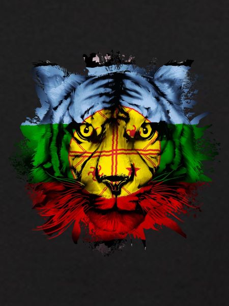 Mapuche