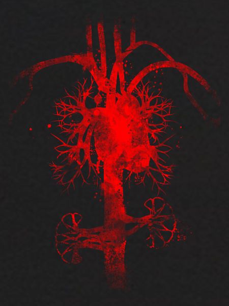 Bloodstream