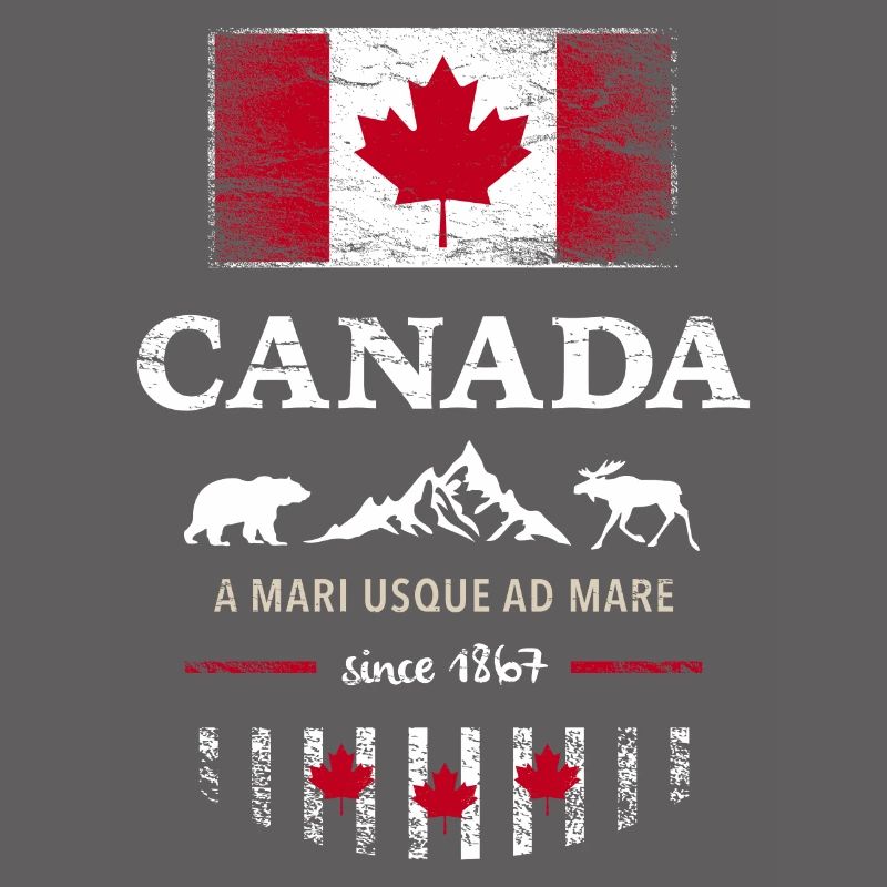 Canada Kanada Amerika maple leaf Flagge Fahne