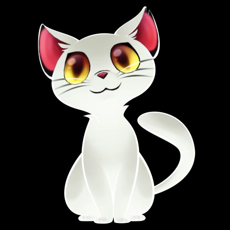chat blanc - chat blanc