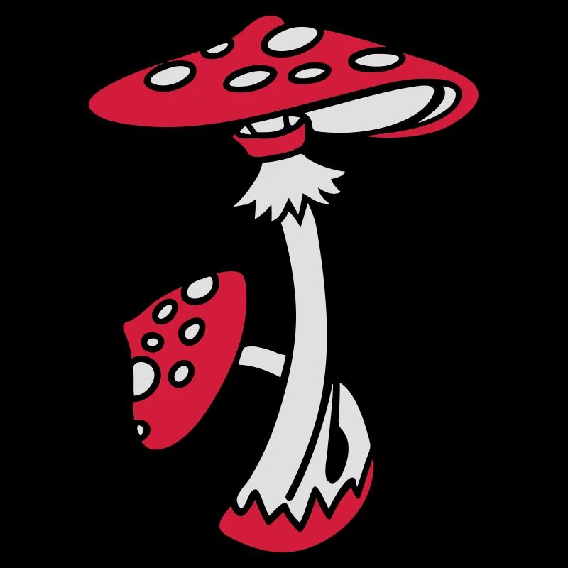 Fly agaric, Toadstool, Magic Mushroom, Psychedelic