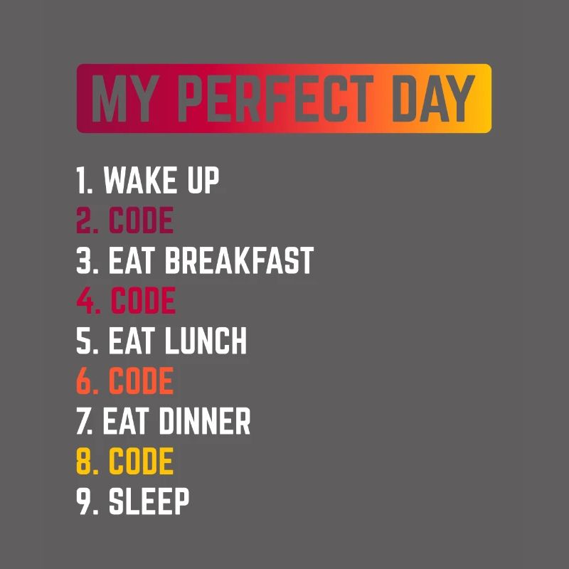 My Perfect Day Wake Up Code Software Developer Pro