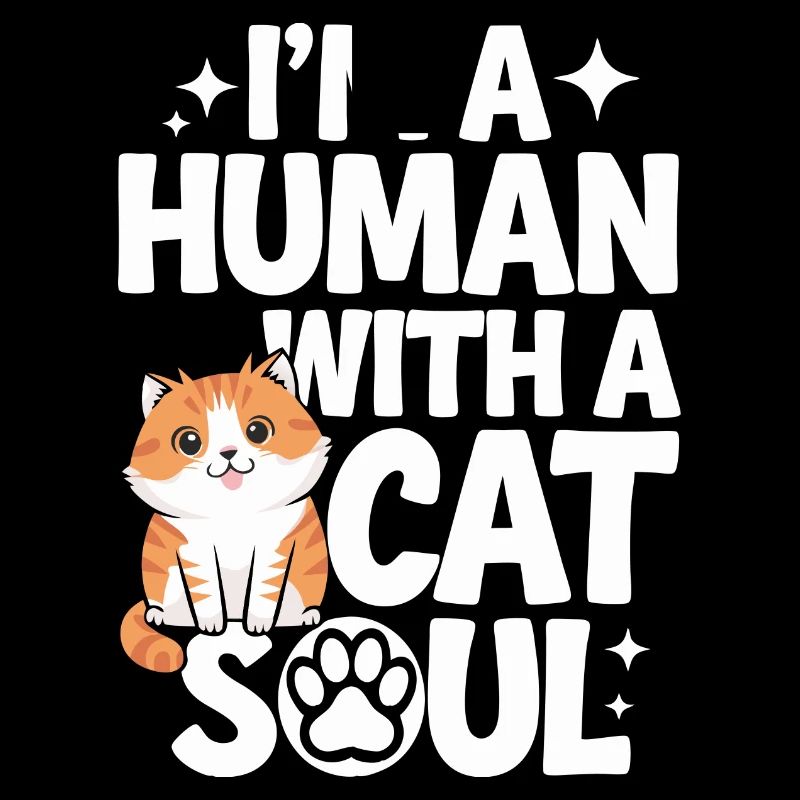 Chat Chats Amoureux Chat Propriétaire Chaton