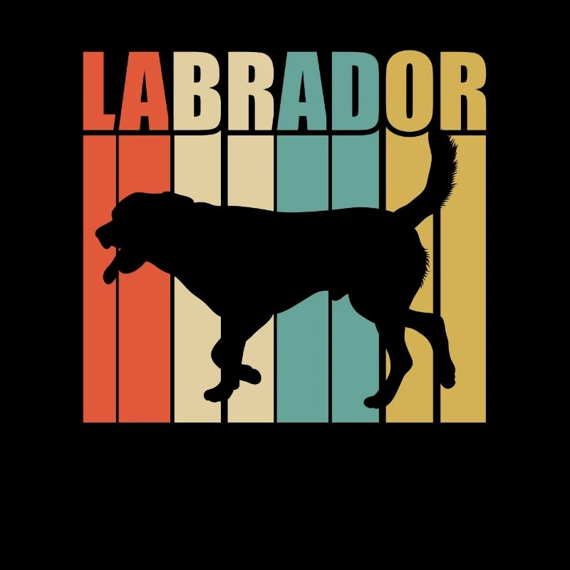 Labrador rétro