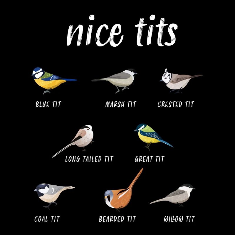 Nice tits funny birdwatching Bird gift
