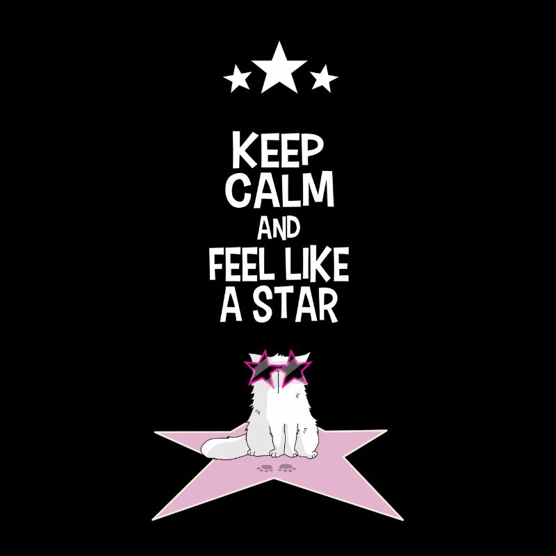 Mrou le chat, Feel Like a Star