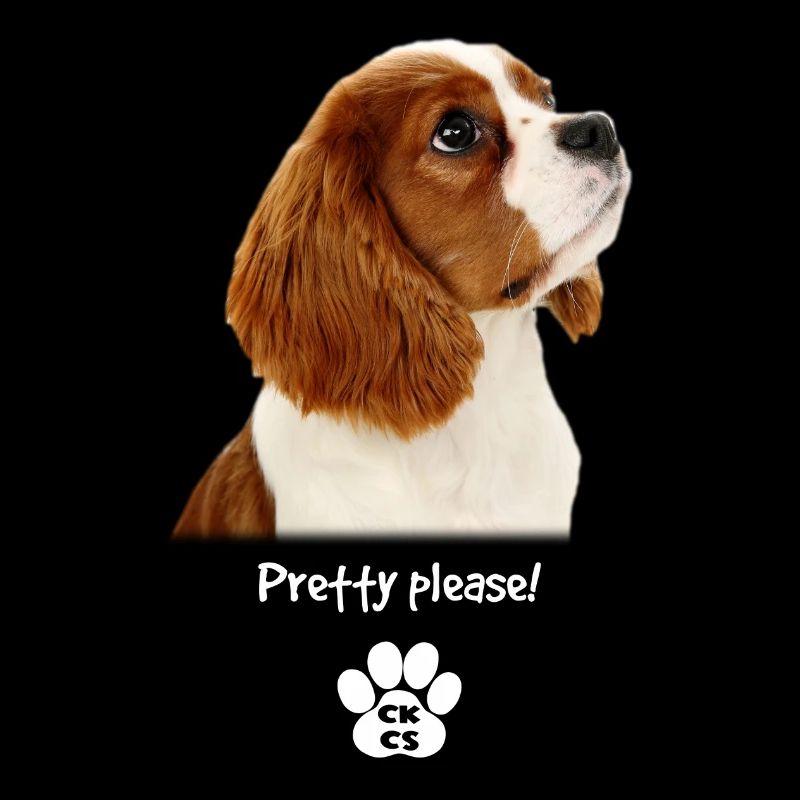 Pretty please