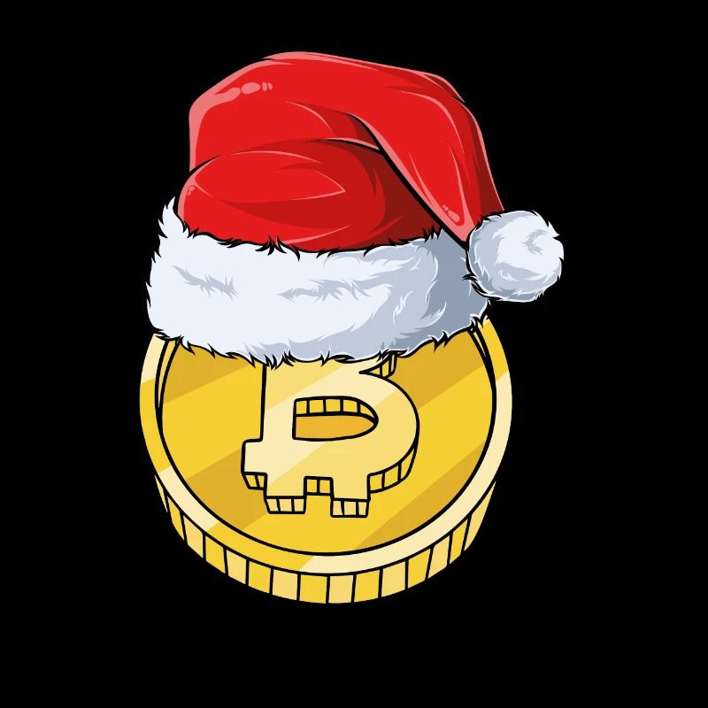 Bitcoin with Christmas hat
