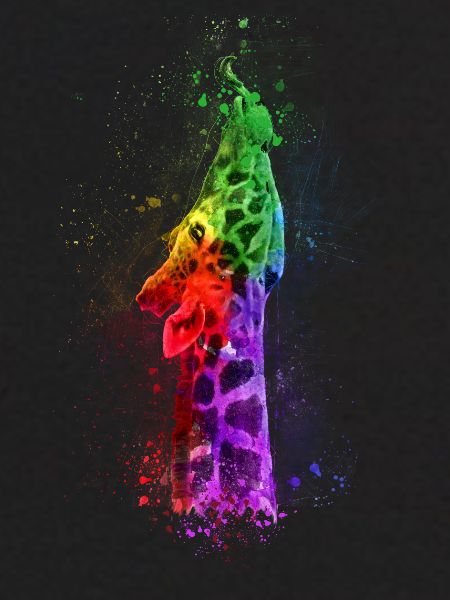 Multicolour Giraffe