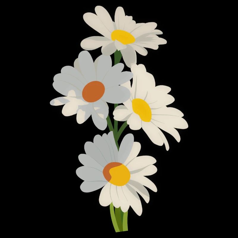Strauß aus Gänseblümchen