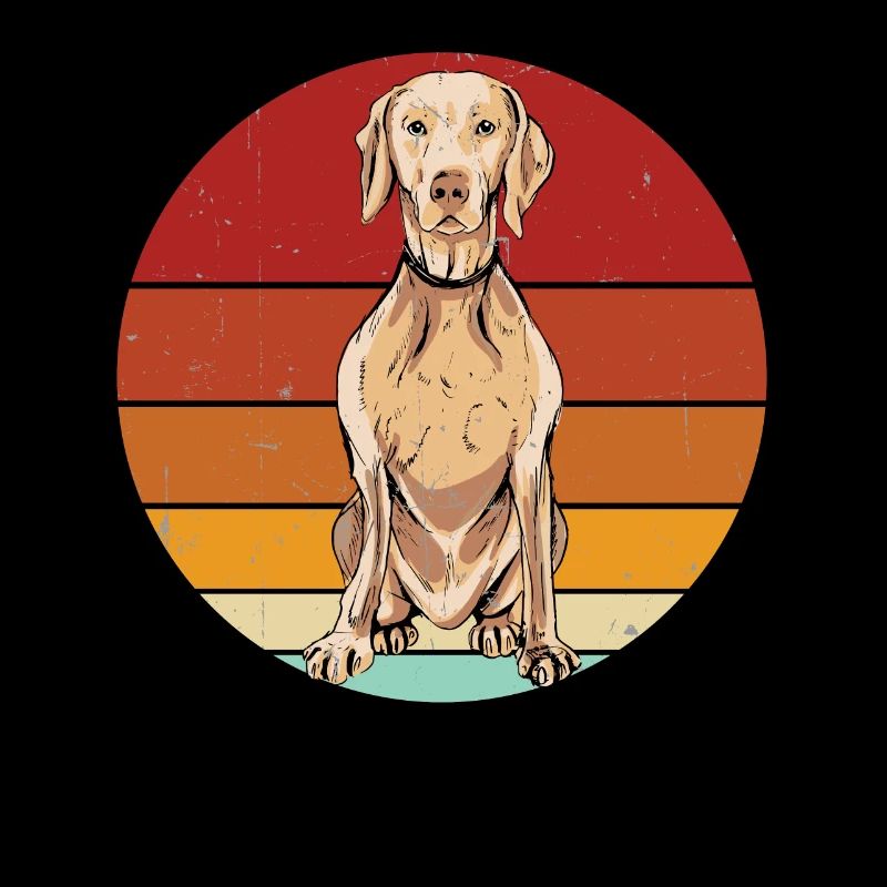 Weimaraner