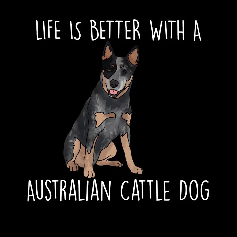 Australian Cattle Dog