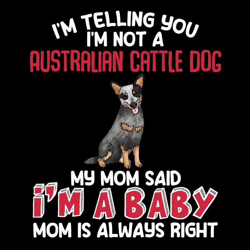 Australian Cattle Dog