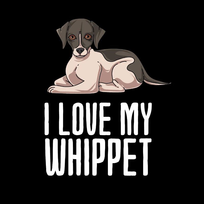 Whippet