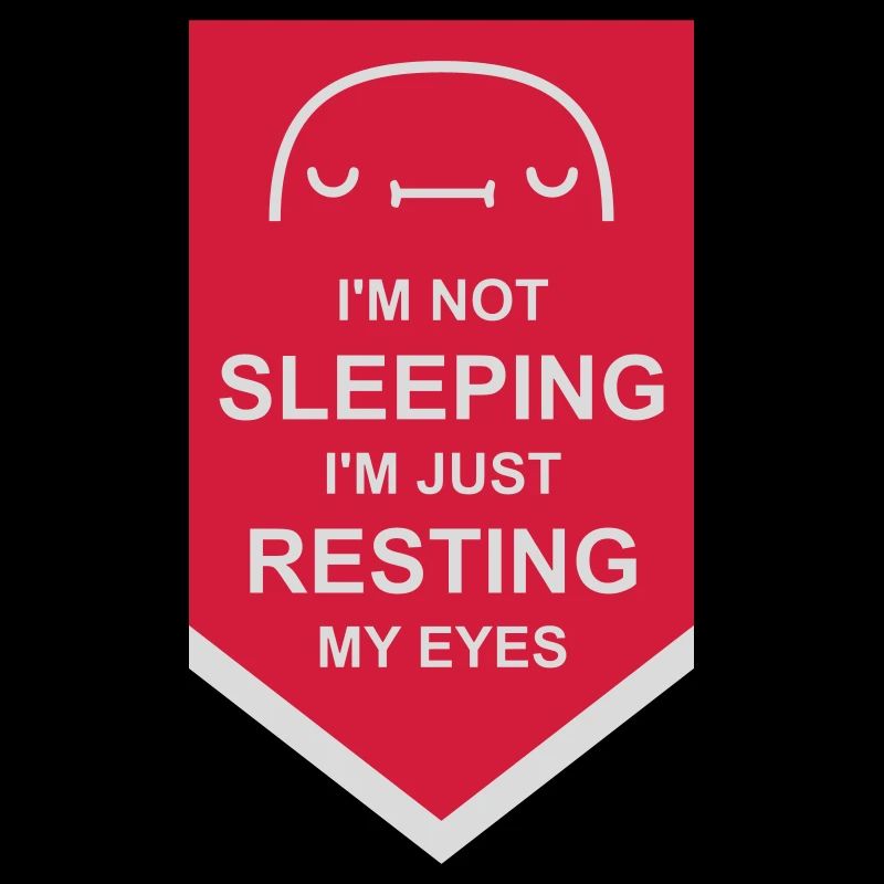 im not sleeping quote