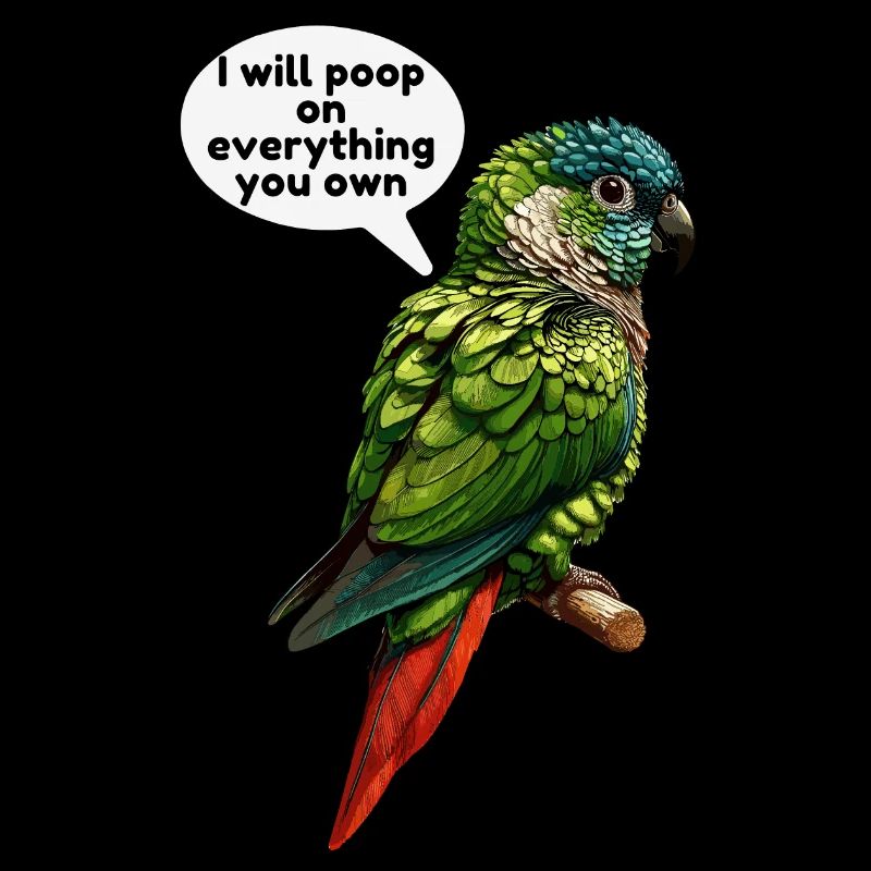 Green Cheeked Conure meme funny