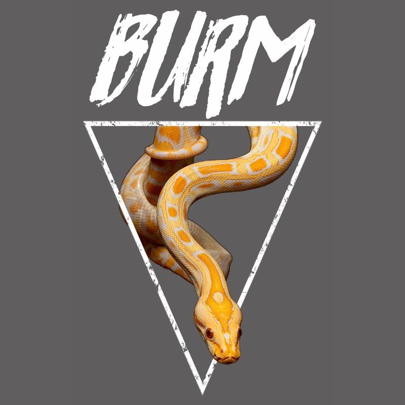 Albino Birmese Python Snake Owner