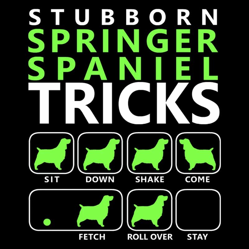 Hartnäckige Springer Spaniel Tricks