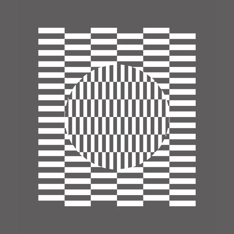 Visual grid perception illusion imagination