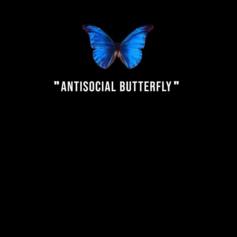 Papillon antisocial - Esthétique du papillon -