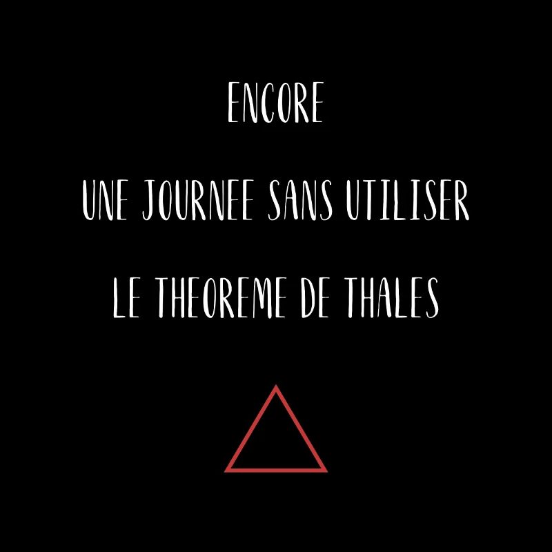 Encore une journée sans utiliser théorème Thalès