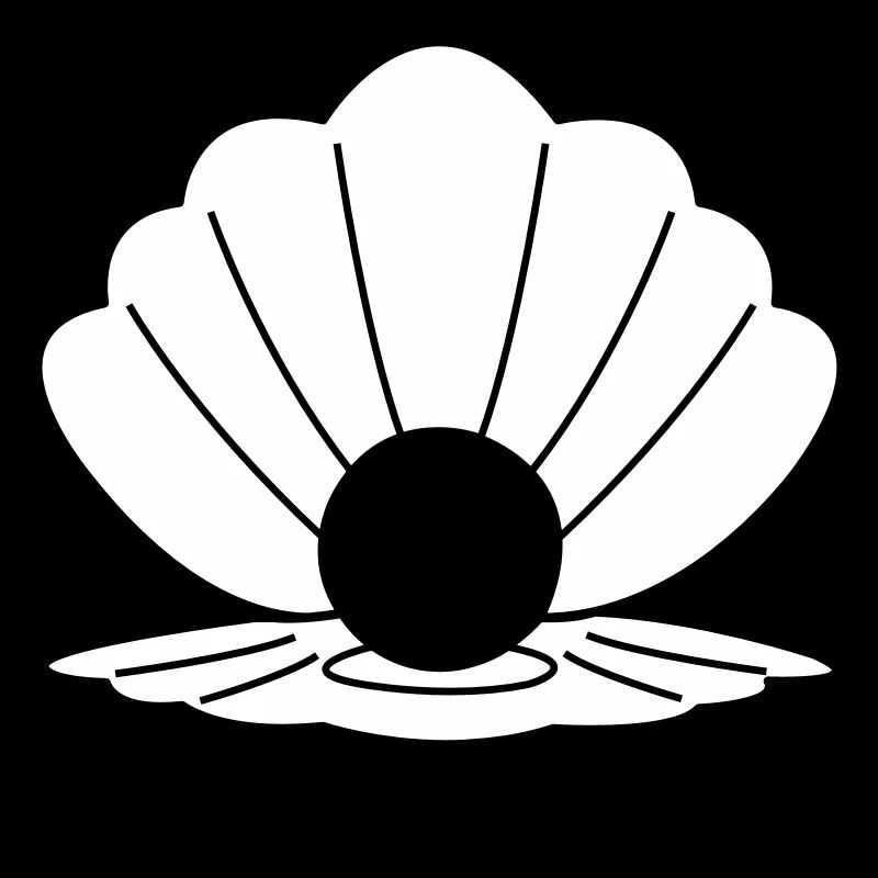 muschel 02