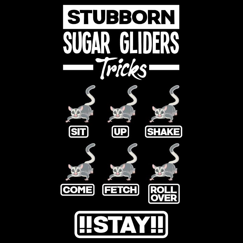 Sugar Glider Pet Stubborn Sugar Gliders Astuces