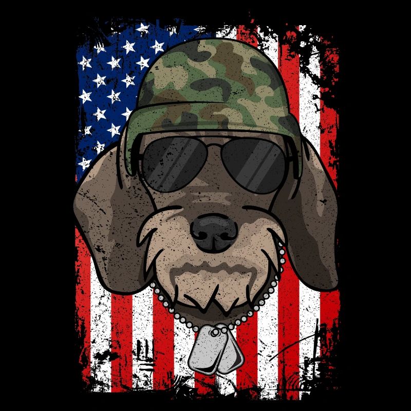 Rough-haired dachshund