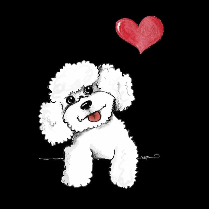 caniche blanc