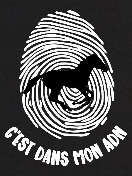 mon adn