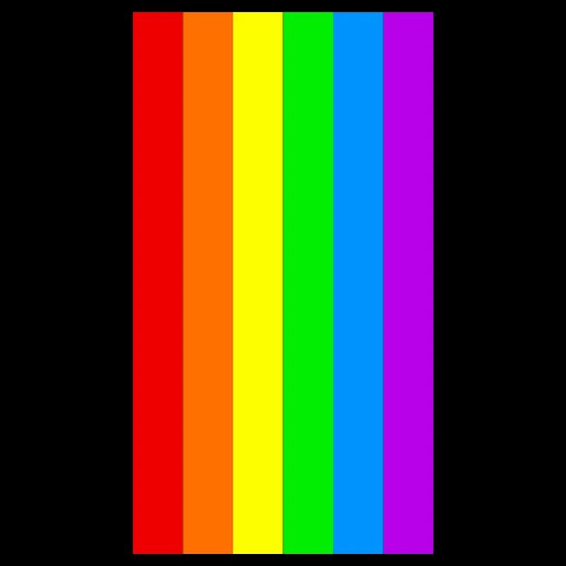 PRIDE RAINBOW REGENBOGEN LGBT FLAGGE FLAG GESCHENK