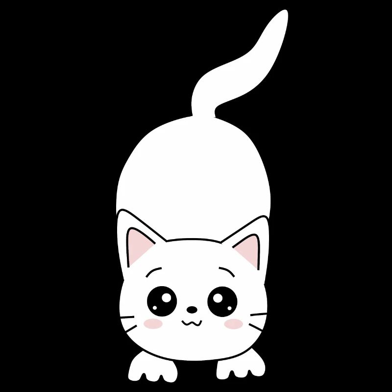 Chat Blanc Blanc Chats Kawaii Chat Mignon