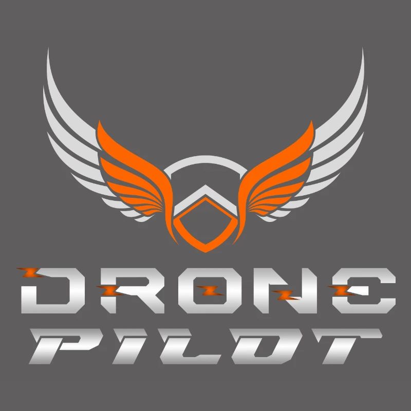 Drone Drones Drone Flight Drone Pilot