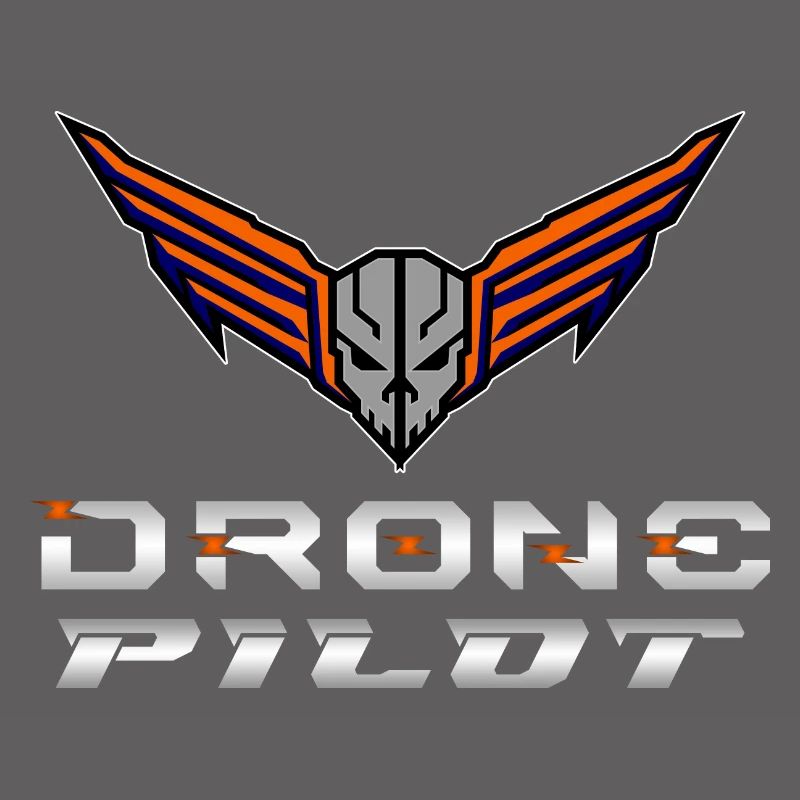 Drone Drones Drone Flight Drone Pilot