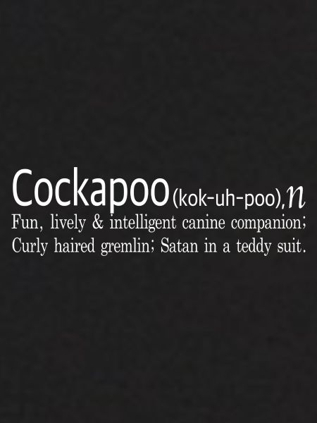 Cockapoo