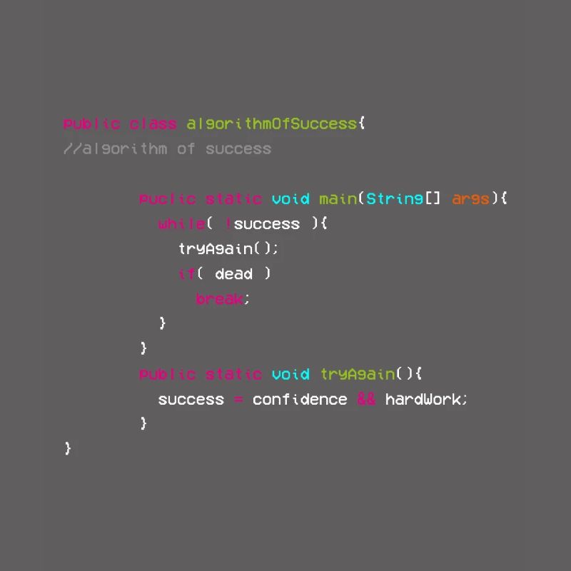 Algorithm Of Success - Coder - Informatiker