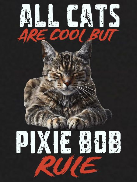 Pixie bob
