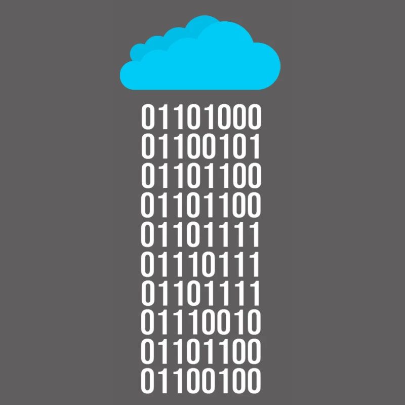 Programmer Computer Scientist Binary Code Coder