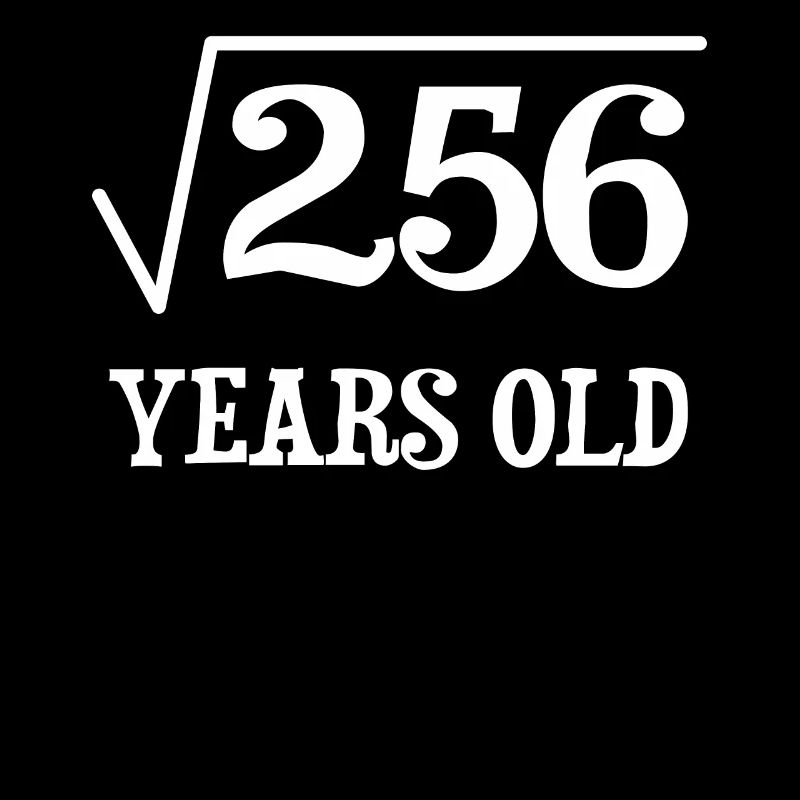 Square Root of 256 Math Nerd 16th Birthday