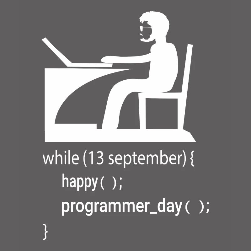 Softwareentwickler Programmierer Geschenk