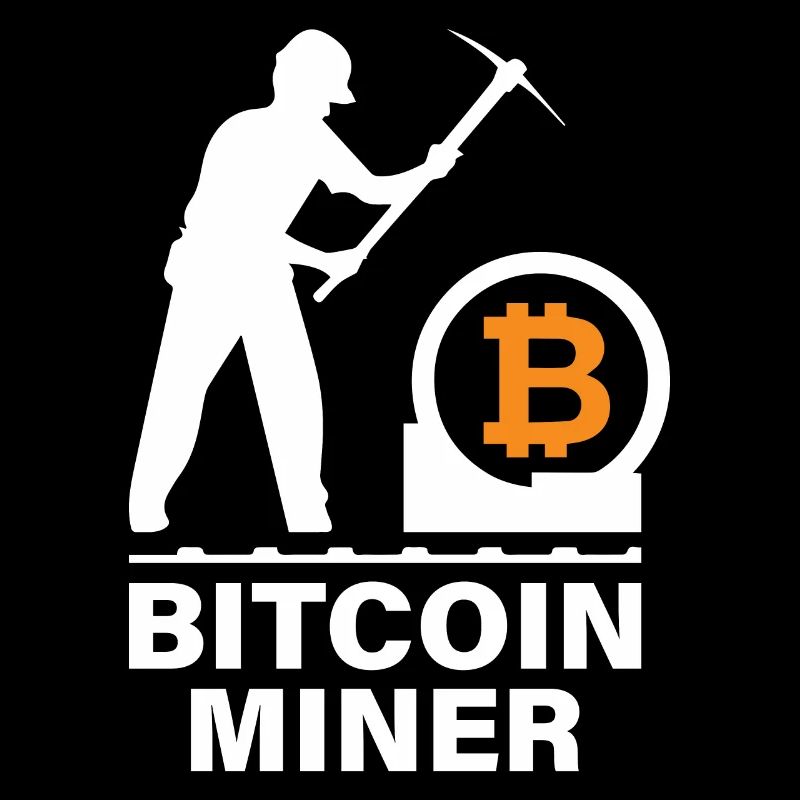 Bitcoin BTC Satoshi Miner Mining Maximalist