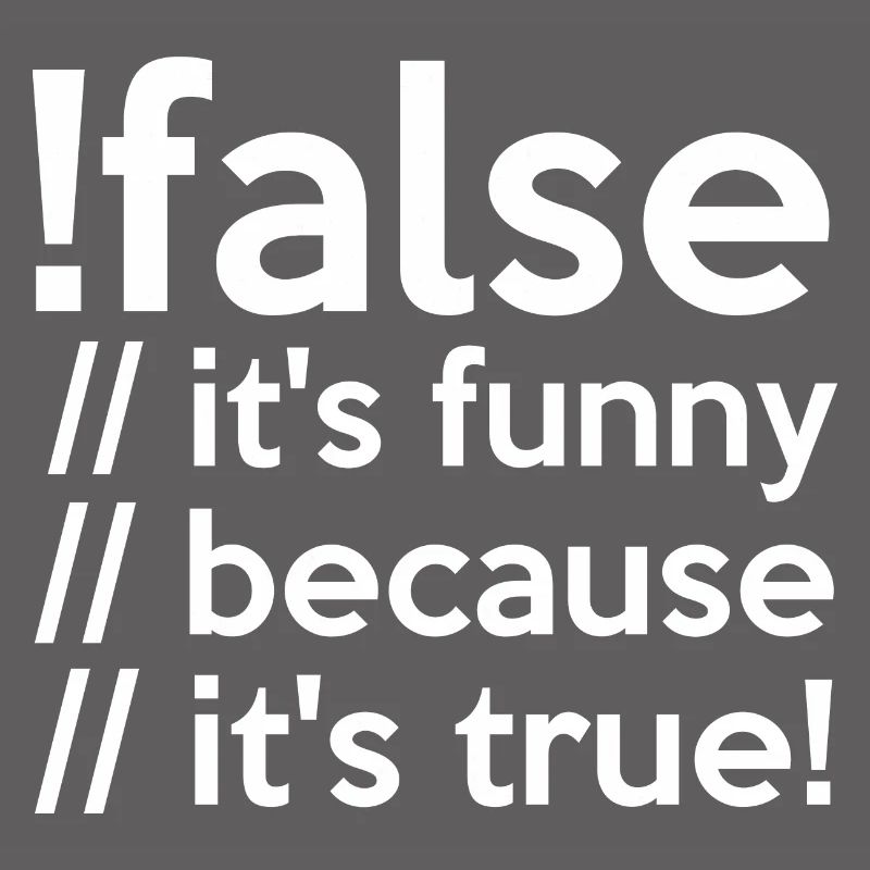 Programmierer false true Informatiker Student Code