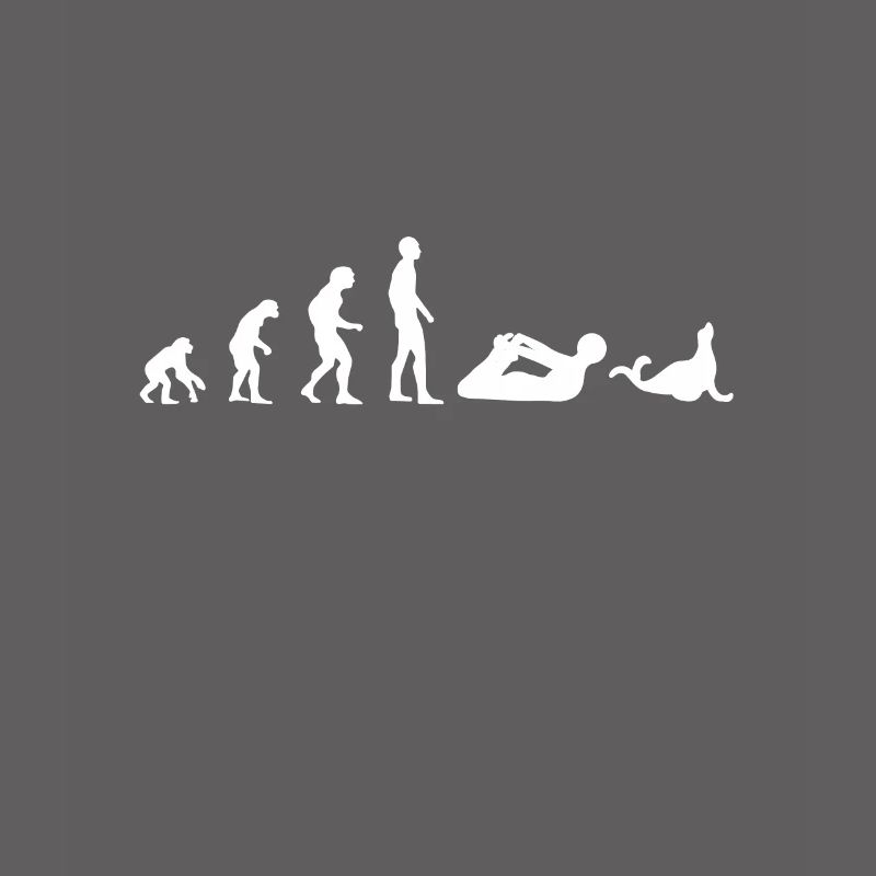 Robbe Evolution