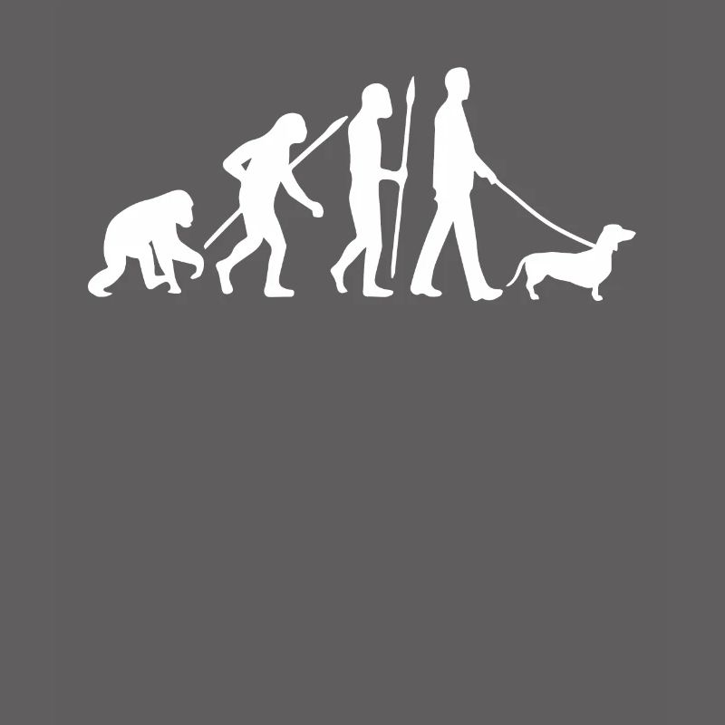 Teckel Evolution