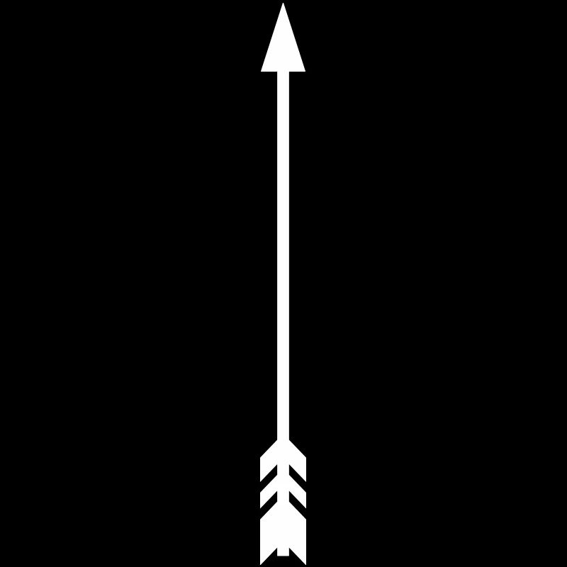 Arrow Vector