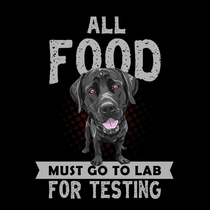 Labrador, chien labrador, propriétaire de chien,